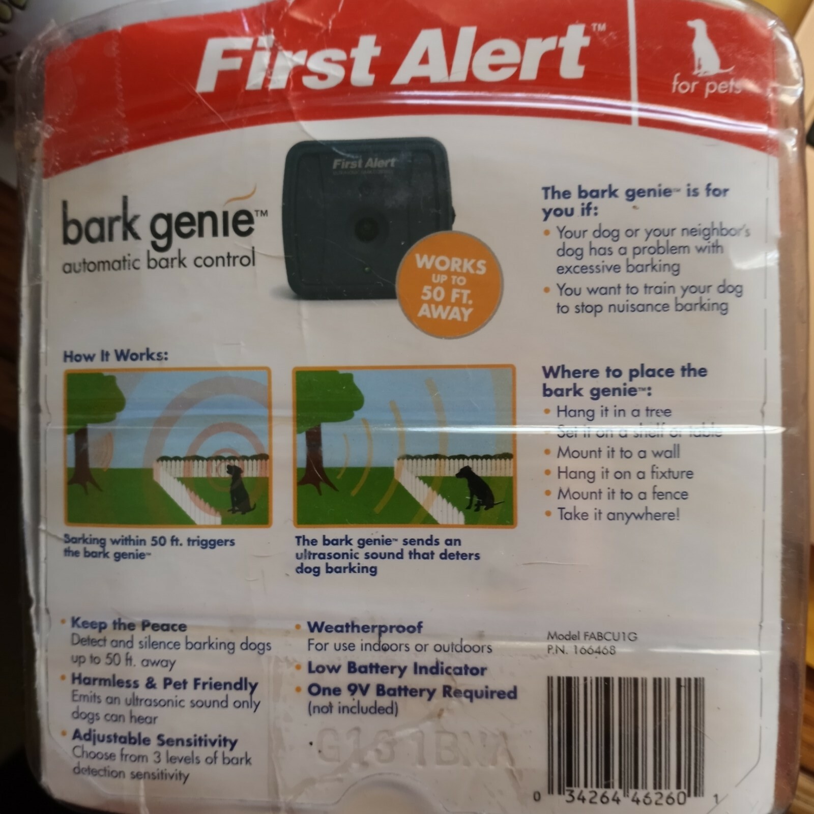 first alert dog bark