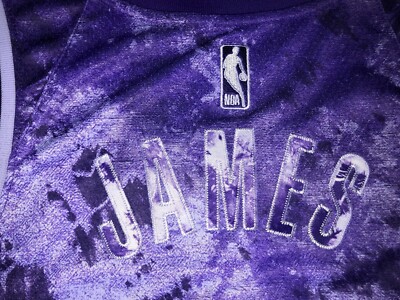 Lebron James LA Lakers Nike Select Jersey #6 Mens Large Stitched