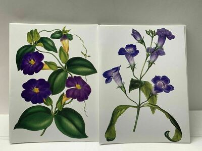 VINTAGE WILD PURPLE IRIS FLOWERS BOTANICAL SPRING NOTE CARD PRINT