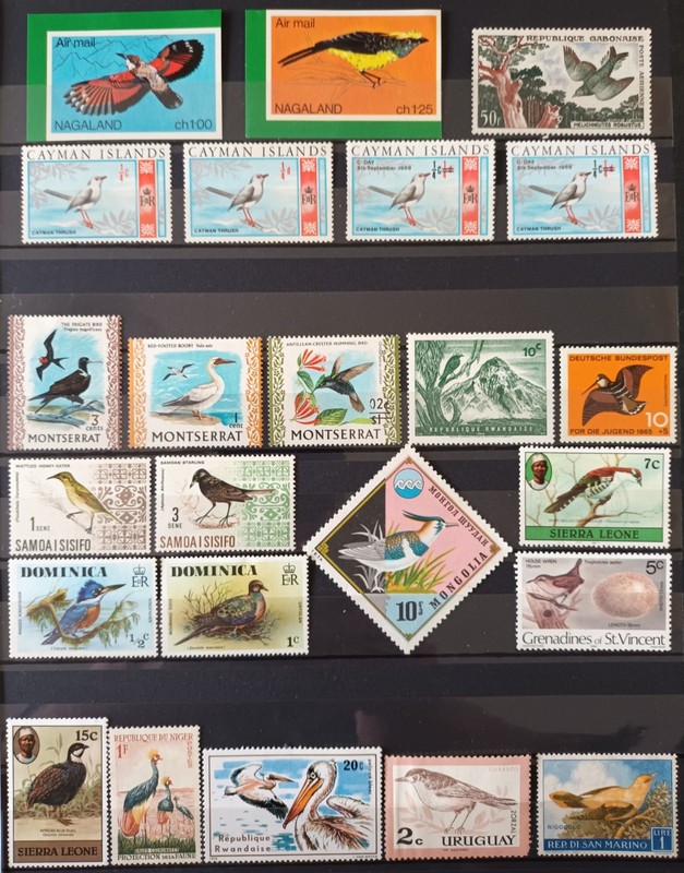 BIRDS: OWLS, DUCKS, SINGING, WOOD BIRDS. 31 STAMPS. MNH. MLH. LOT IN GERMANY