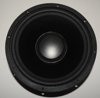 DCM SW10 SUBWOOFER 10'' SPEAKER 4 OHM SW-10 SW 10 100W RMS (*WOOFER ONLY!)