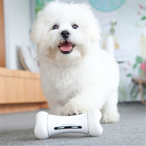Smart Bones For Dog - Picture 6 of 14