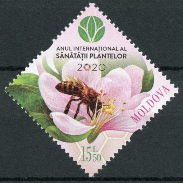 Moldova Over item handling ☆ 2020 MNH Nature Stamps Intl Flowers Many popular brands Health Yr of Plant B