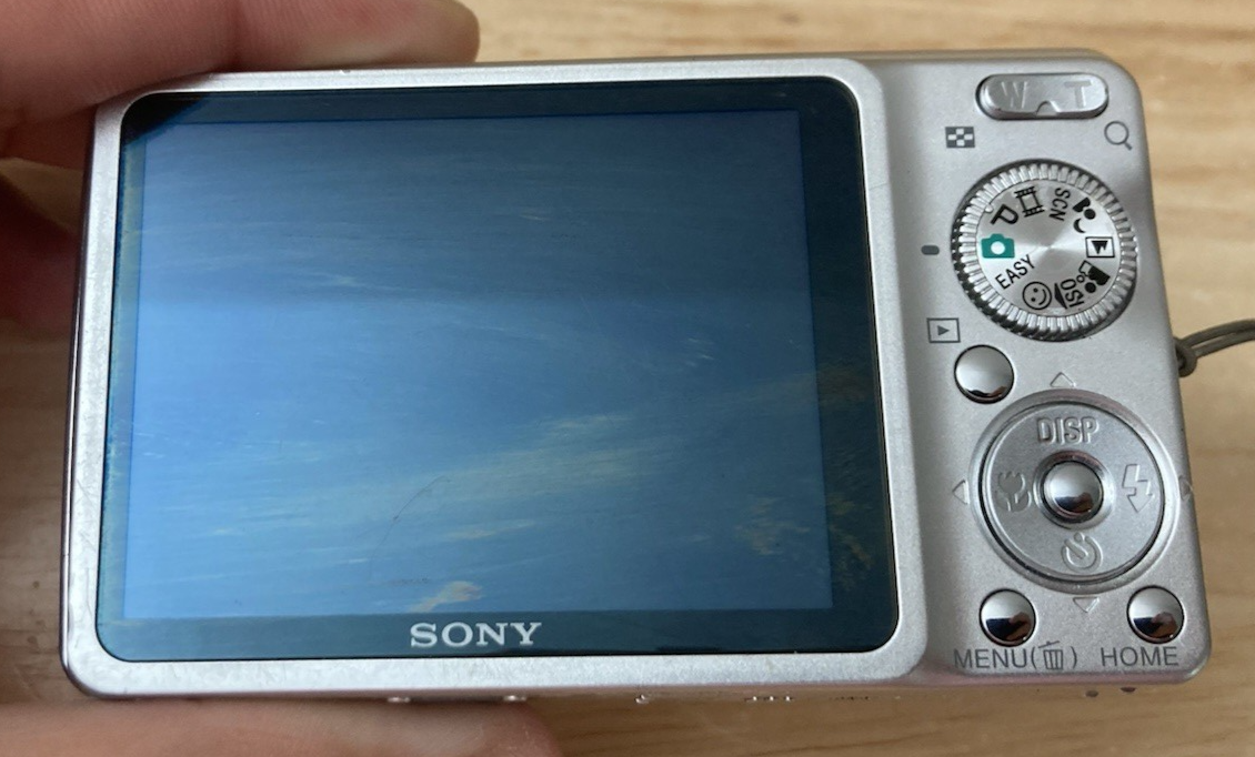 Sony Cyber-shot DSC-W220 12.1MP Digital Camera - Silver for sale