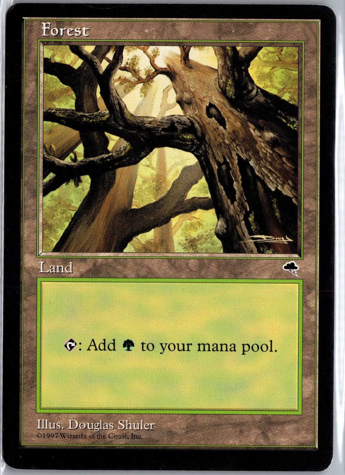Forest (Skyward) 347 Land Tempest Magic: The Gathering Moderately Played