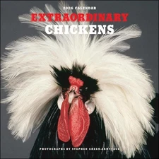 Extraordinary Chickens 2026 Wall Calendar by Stephen Green-Armytage