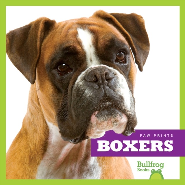 Boxers by Nadia Higgins HARDBACK 9781624967665