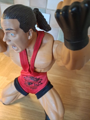 JAKKS WWE RING GIANTS ROB VAN DAM 14" AZIONE POSABILE sciolto 2006 - Foto 9 di 24