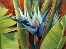 Ceramic Backsplash Tile Mural Floral Tropical Flower Kitchen/Bathroom - Hideout
