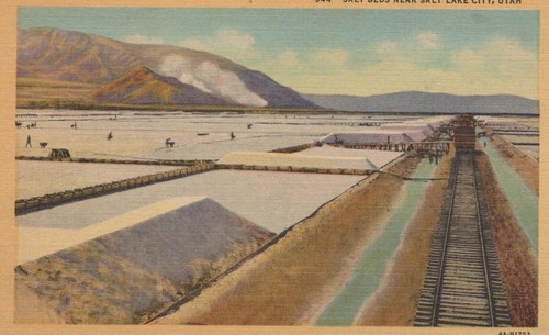 Letti di sale vicino a Salt Lake City - biancheria non spedita - Foto 1 di 3