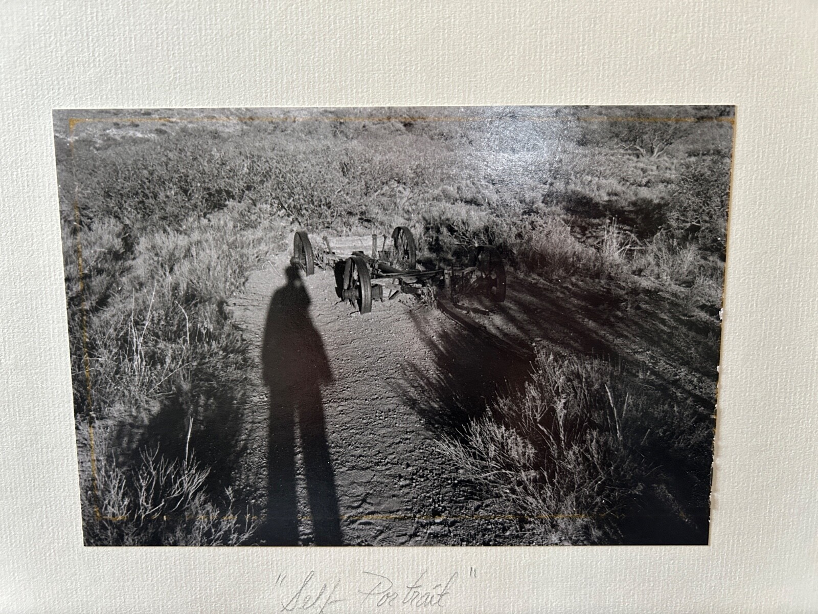 Picture 3 of 7