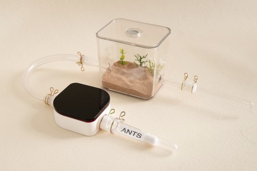 Ant Farm Nest Formicarium Ants House Complete Setup A7 Small Best Ants UK - Picture 3 of 10
