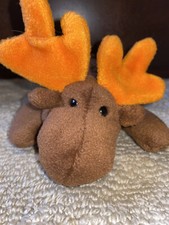 1993 TY Beanie Baby CHOCOLATE the Moose EUC