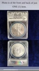 2009 $1 American Silver Eagle ANACS MS70 First Day Of Issue