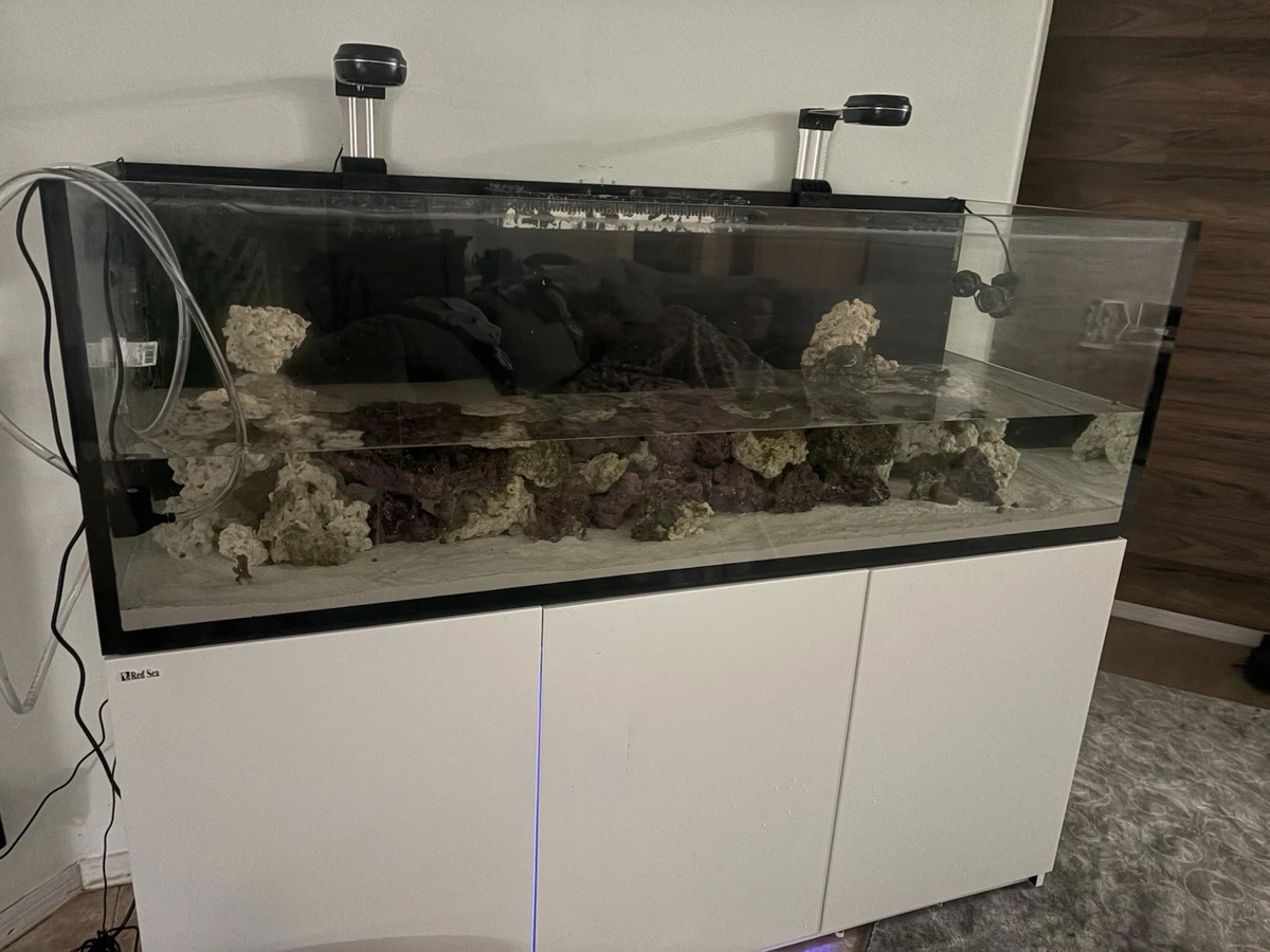 Rectangle (Standard) Aquariums & Tanks 6 ft Tank Width for sale | eBay