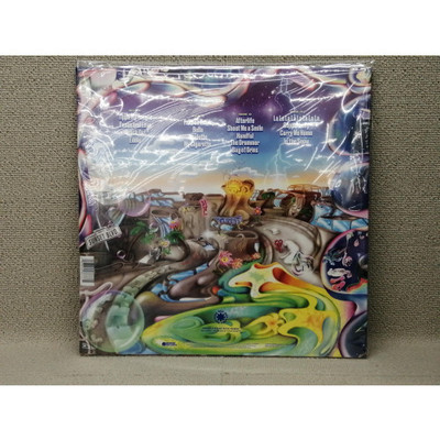 【新品・未使用】Red hot chili peppers Return〜 Return of the Dream Canteen Deluxe Vinyl 2LP – Red Hot Chili