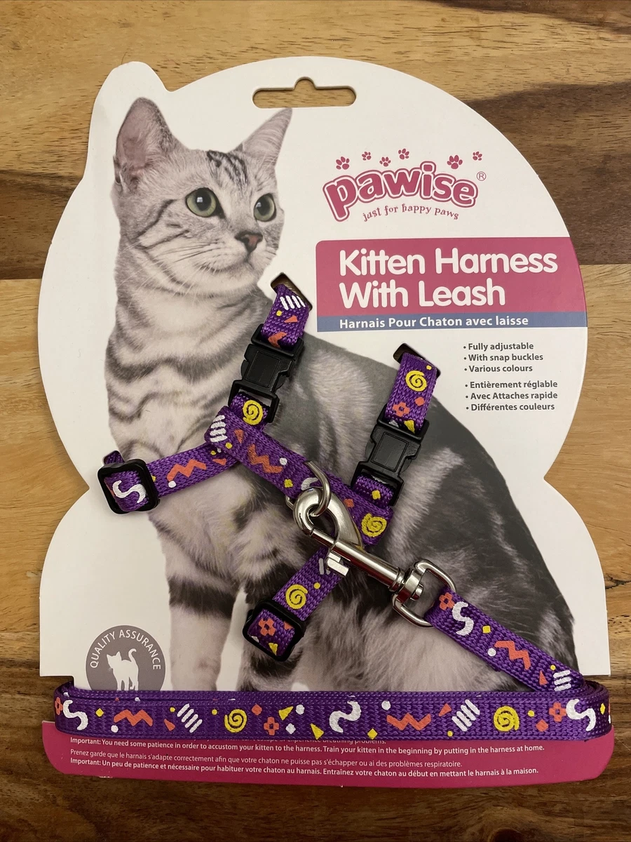 Kitten harness on sale