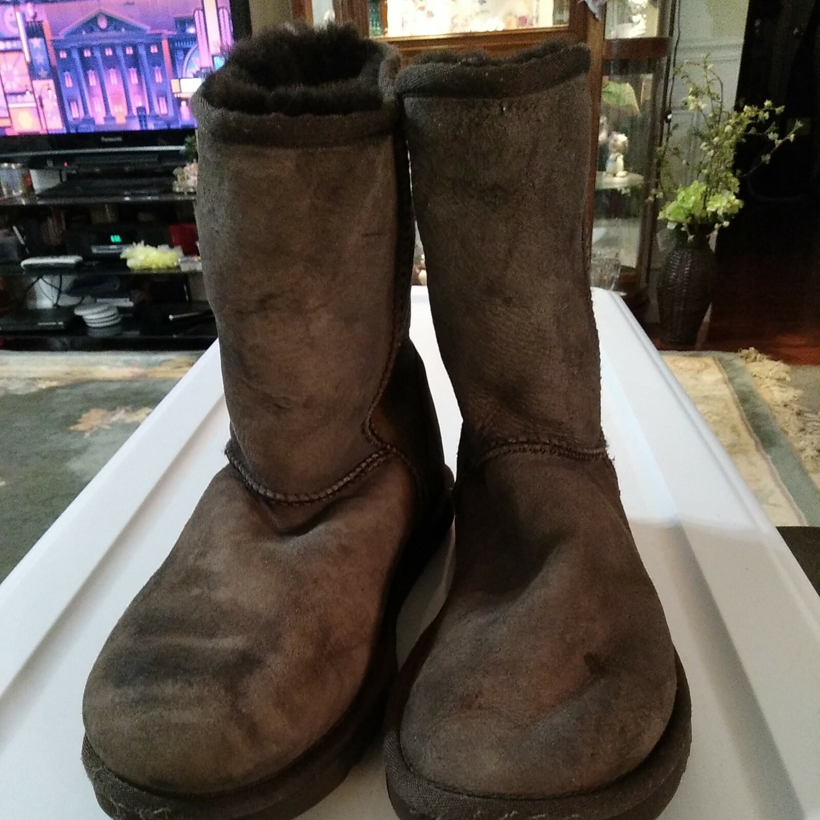 chocolate uggs classic short