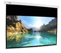 Favi 100-inch (16:9) Electric Projection Screen - Us Version (includes Warran... Favi 100-inch (16:9) Electric Projection Screen - Us Version (includes Warran...