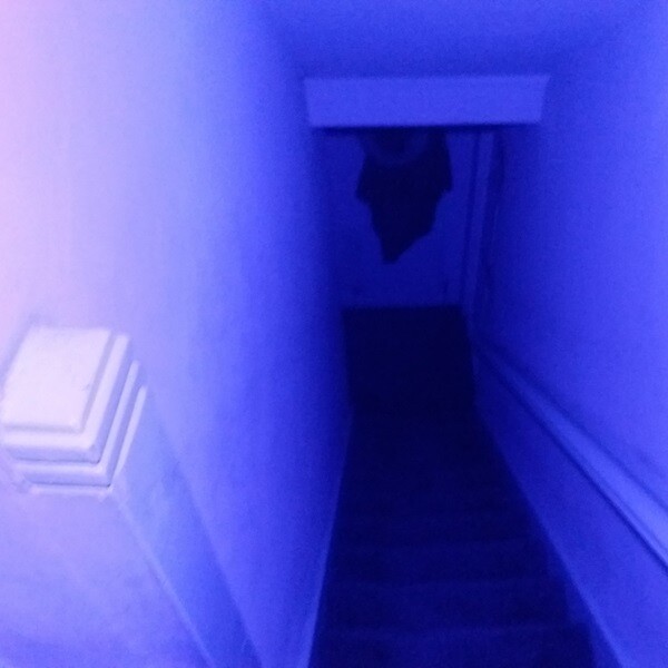 Foto 8 di 24