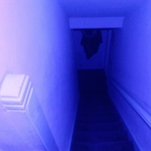 Fotocamera GoPro GoPro Luce Fantasma Ultravioletta Caccia Paranormale Grandangolo - Foto 8 di 24