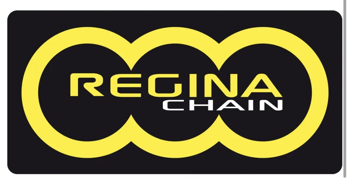 Catena regina Endurance M, Passo 525 , 122 Maglie