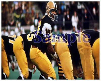 CFL 1970's Hamilton Tiger Cats QB Chuck Ealey Game Action Color 8 X 10 Photo Pic