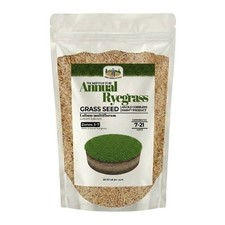 Old Cobblers Farm™ Wicked Tuff Turf Annual Ryegrass (Grasses)