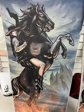 Never Summer Peacemaker Men's Snowboard 149cm  - Tuned in Good Condition