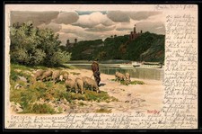 Künstler-Lithographie Paul Hey: Dresden, Elbschlösser, Schäfer mit Herde blickt 