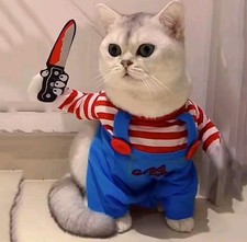 Funny Halloween Cat  Small Dog Costume   Soft Warm Pet Jumpsuit Cosplay Party