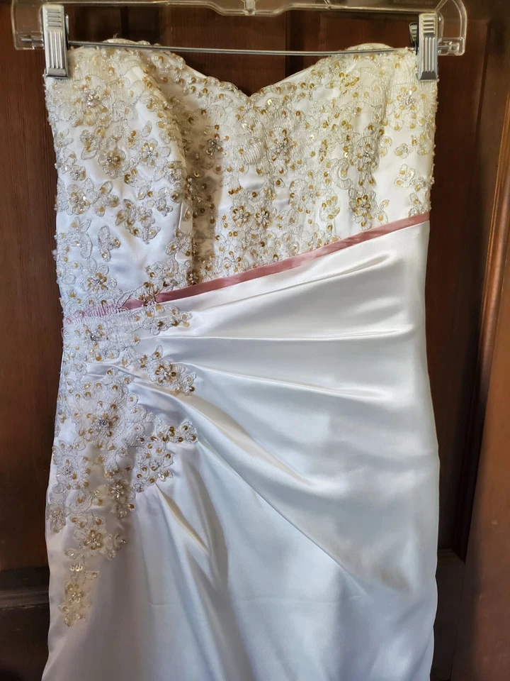 Tren Largo Maggie Sotero Couture Marfil con Detalle Rosa Talla 8 Foto 3 de 4