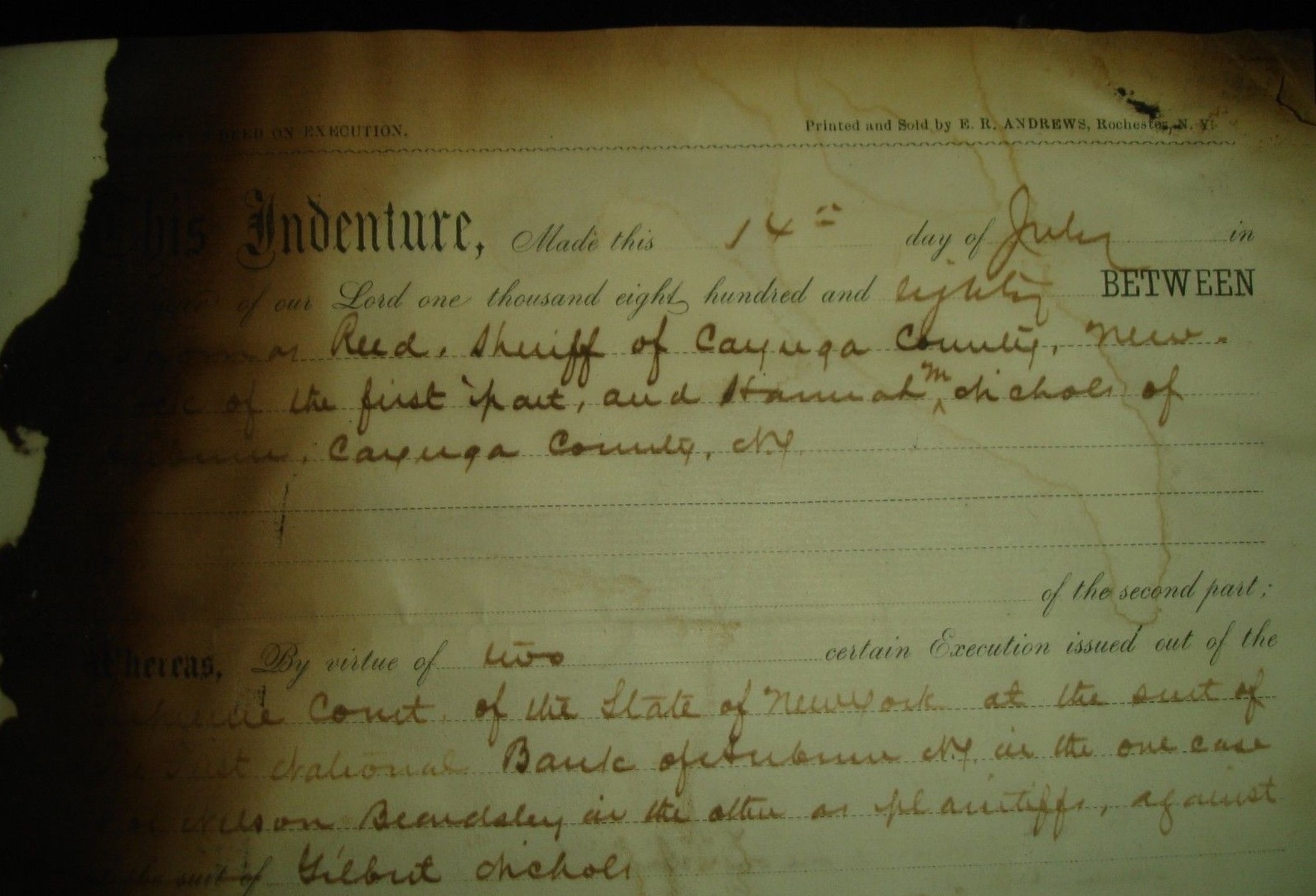 1880 THOMAS REED Sheriff Deed CAYUGA County NY Hannah M. Nichols AUBURN