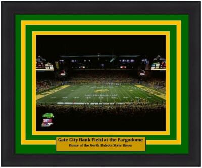 North Dakota State Bison Fargodome College Football Stadium 8x10 Framed Photo