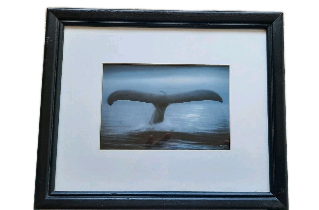 Wy LAND  whale  ワイランド　Tails of Great, Robert Wyland Giclee on Canvas 