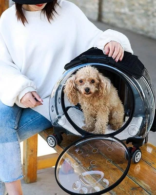 SUE RYDER ONLINE SHOP Transparent Breathable Small Pet Carrier Backpack Trolley Wheels Dogs Cats Black