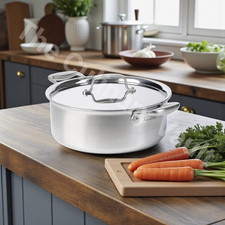 All-Clad Collective Cookware D7 6 quart Slow Cooker Rondeau Stainless Steel BNIB