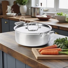 All-Clad Collective Cookware D7 6 quart Slow Cooker Rondeau Stainless Steel BNIB