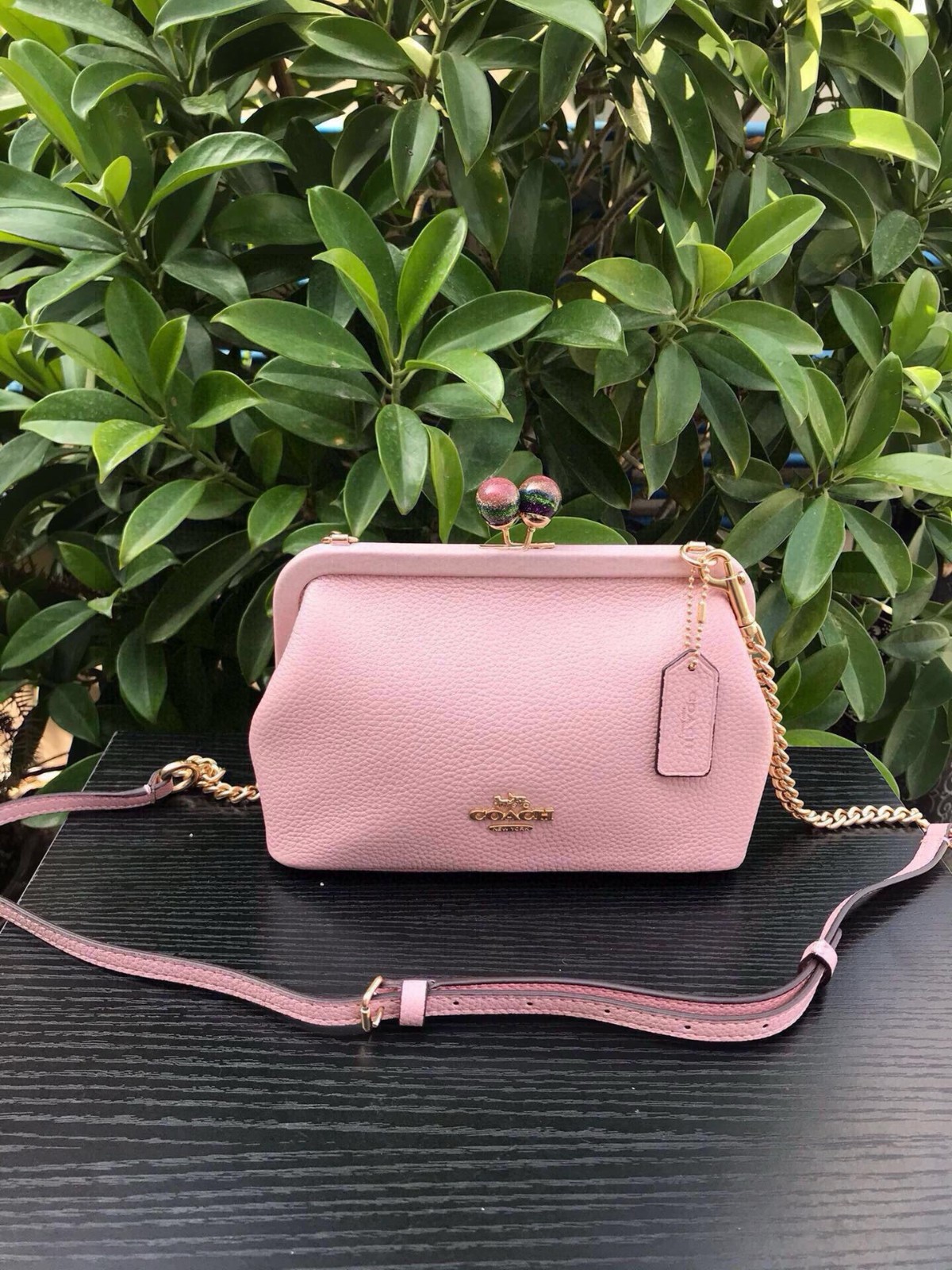COACH Nora Kisslock Crossbody C1451 Carnation
