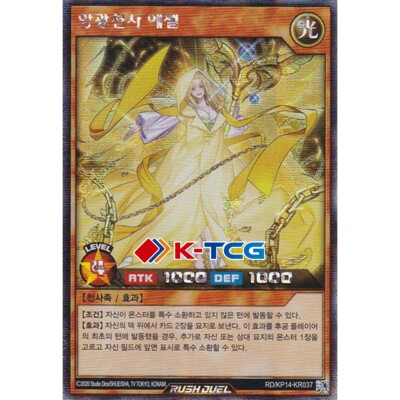 Yugioh Card 