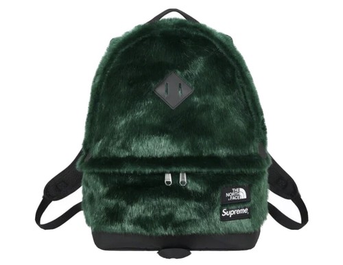 2020 Supreme x North Face Faux Fur 