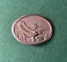 Eagle In Flight Belt Buckle,with Rhine Stone