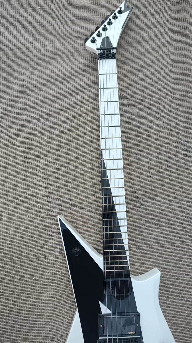 Feral Original Custom Guitar カスタムギター Feral Original Custom Guitar カスタムギター Feral Original