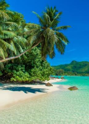 Wandbild: Griff - Paradise Beach in Seychellen, Mahe (83929749)