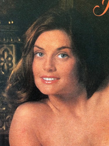 Vintage 1976 Sexy Playboy Marilyn Lange published print / photo A498 | eBay