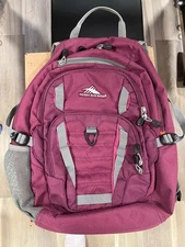 High Sierra RipRap Backpack Purple Padded Back Laptop Holder Hiking School
