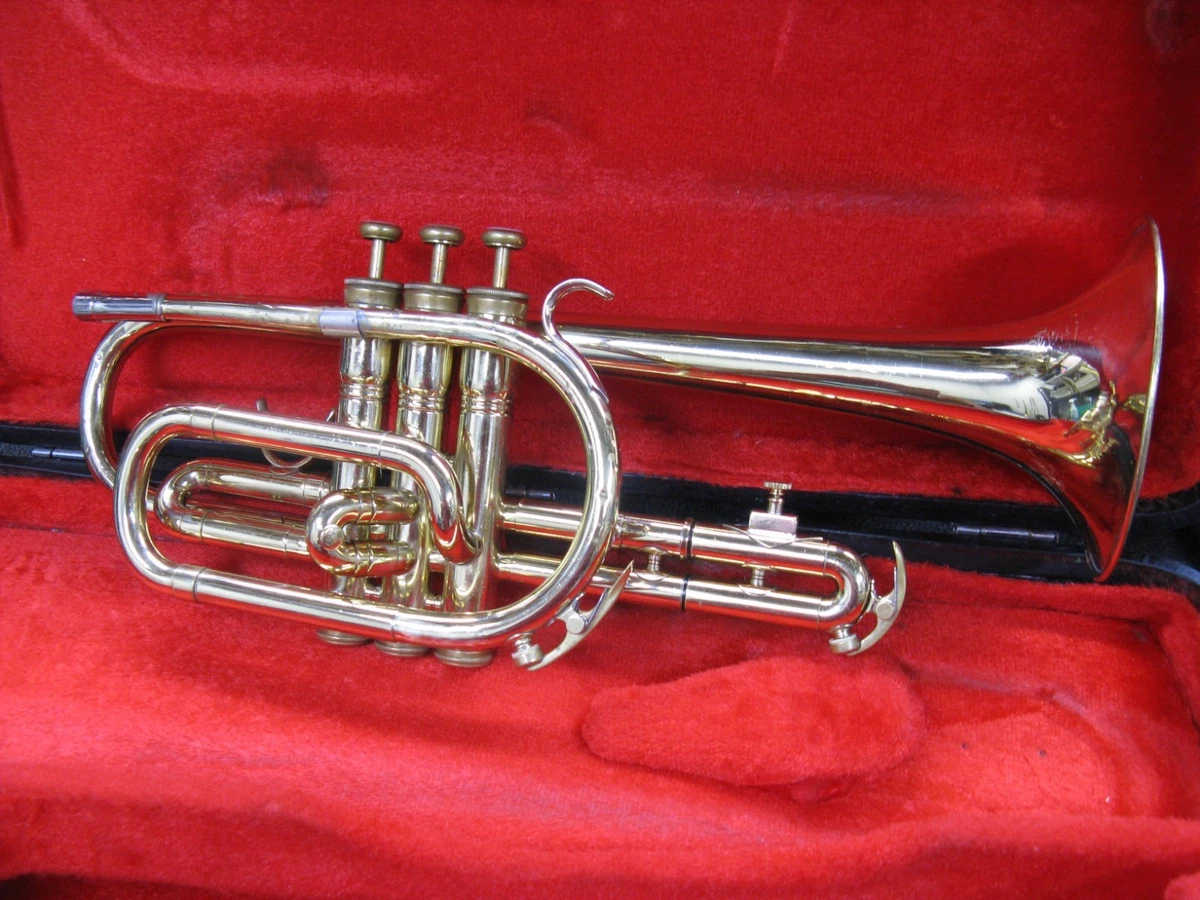 25+ King Cornet for sale | Updated Oct 2026