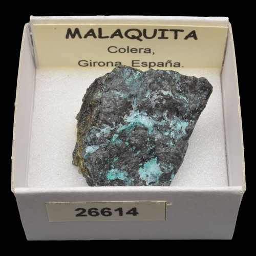 MALAQUITA (Colera, Girona, España) "ver disponibles" / Malachite - Picture 5 of 7