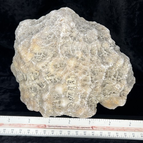 6-1/2” Large Unopened Geode Rattler Crystal Quartz Fossil Break Your Own 4.6Lb - Picture 7 of 10