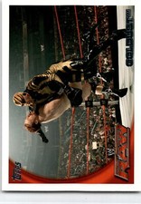 2010 Topps WWE #31 Goldust
